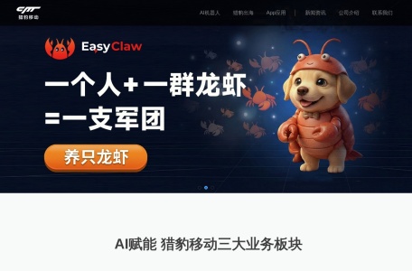猎豹出海